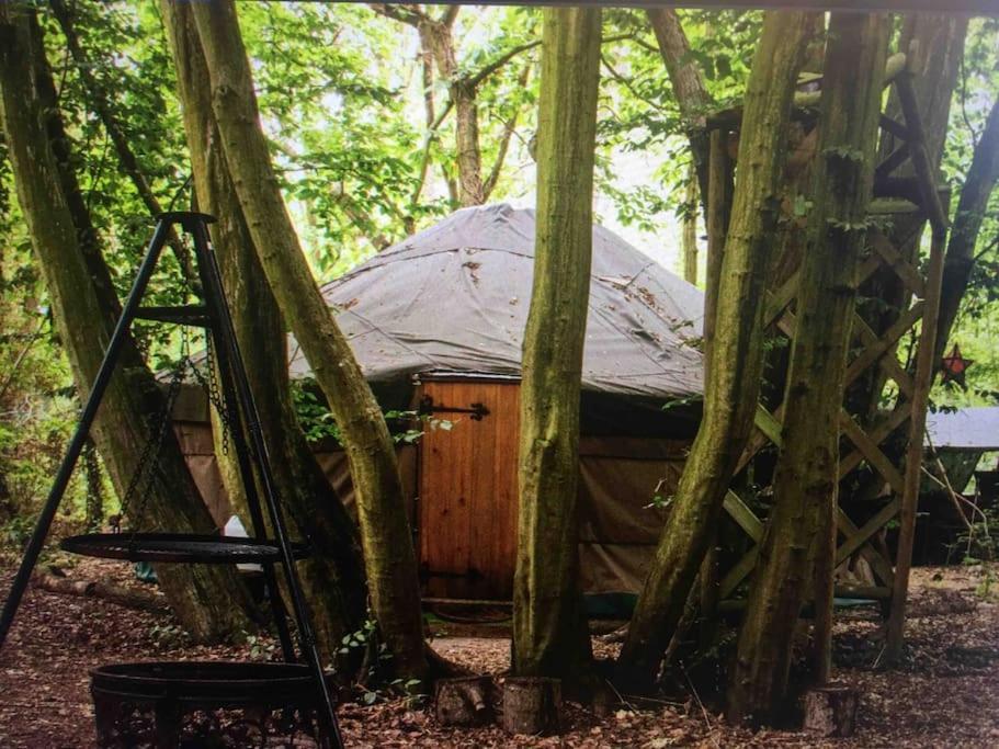 Magical Forest Yurt Sturry Exterior foto