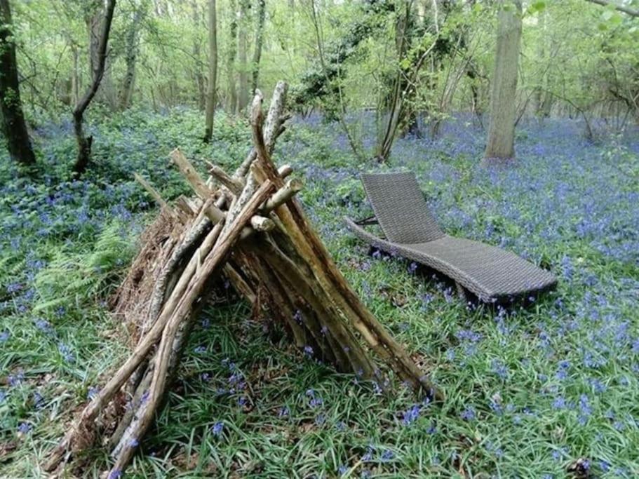 Magical Forest Yurt Sturry Exterior foto