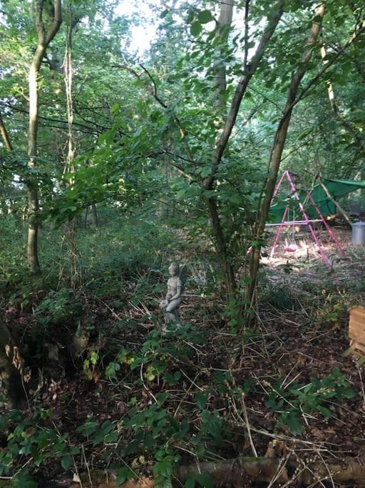 Magical Forest Yurt Sturry Exterior foto