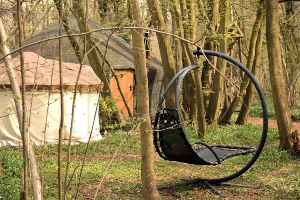 Magical Forest Yurt Sturry Exterior foto