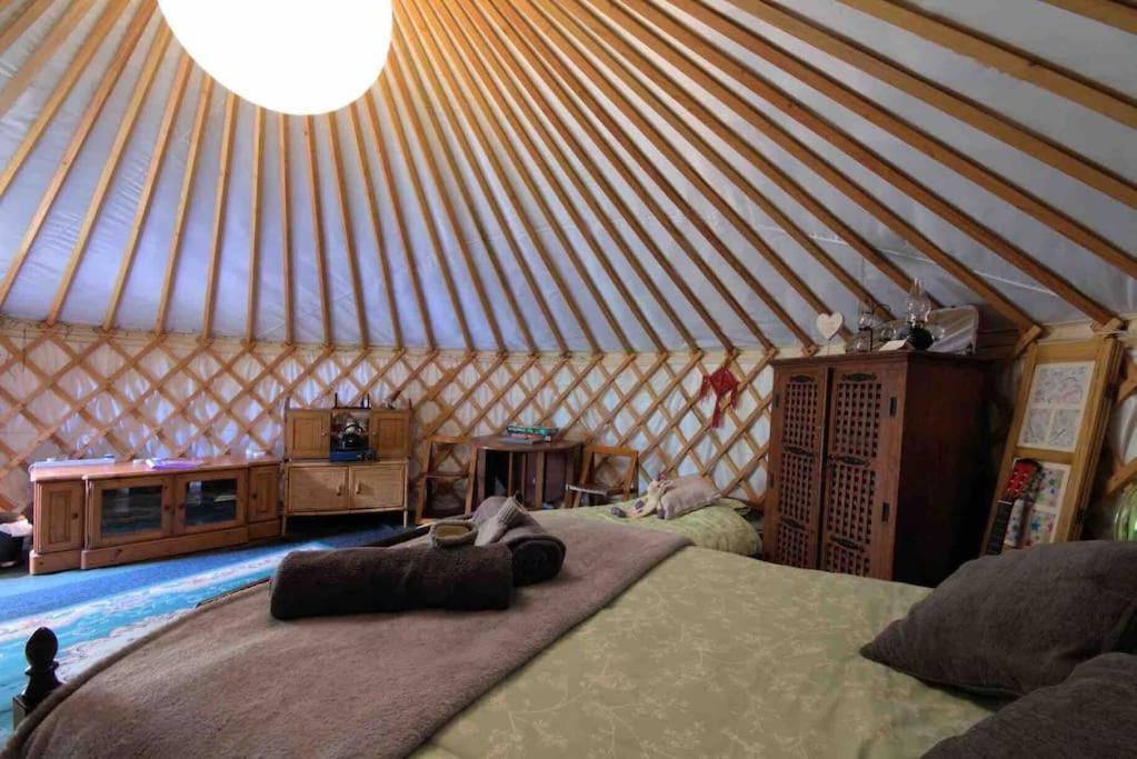 Magical Forest Yurt Sturry Exterior foto