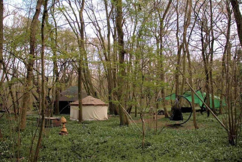 Magical Forest Yurt Sturry Exterior foto