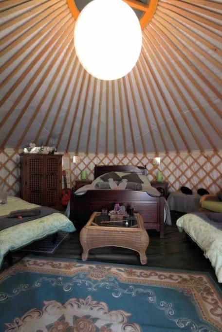 Magical Forest Yurt Sturry Exterior foto