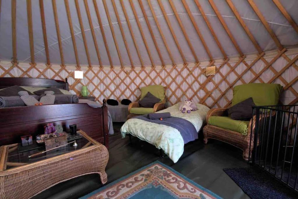 Magical Forest Yurt Sturry Exterior foto