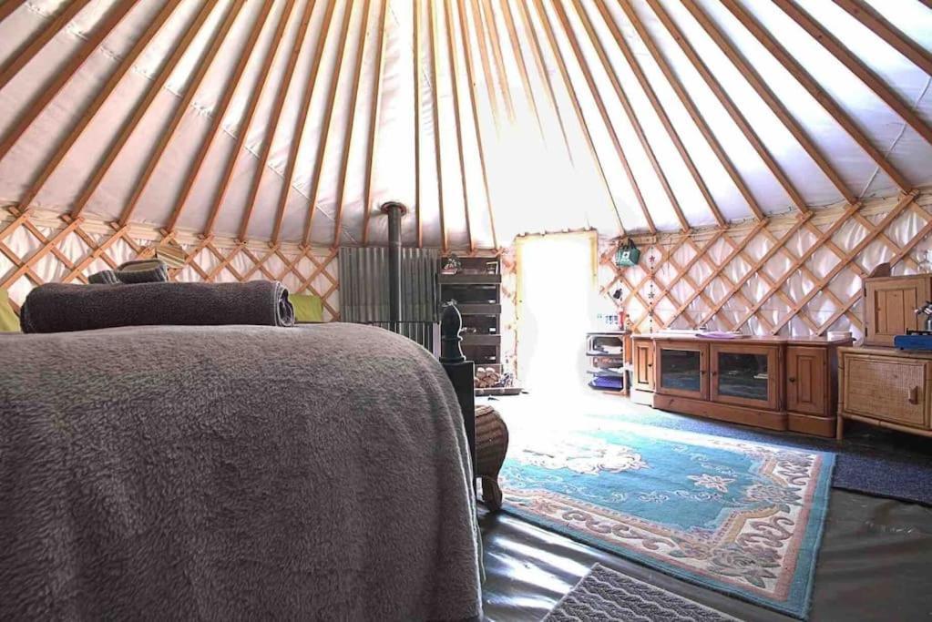 Magical Forest Yurt Sturry Exterior foto